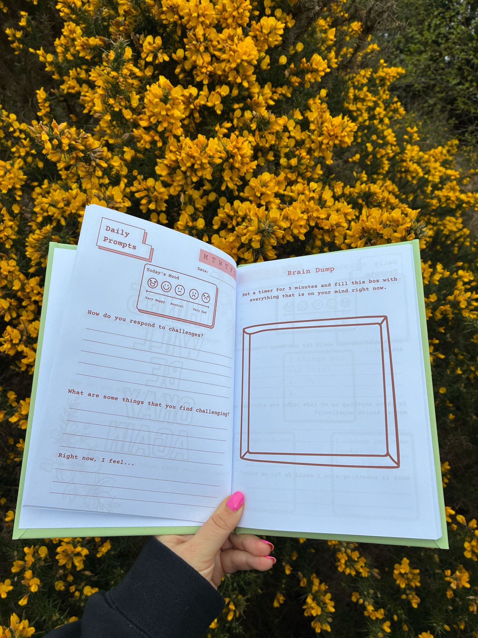 Mind Your Head Mental Health Journal (Green) image 7